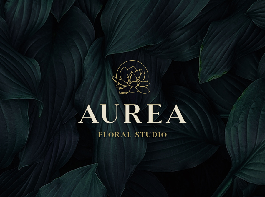 Proyecto de branding y web para Aurea