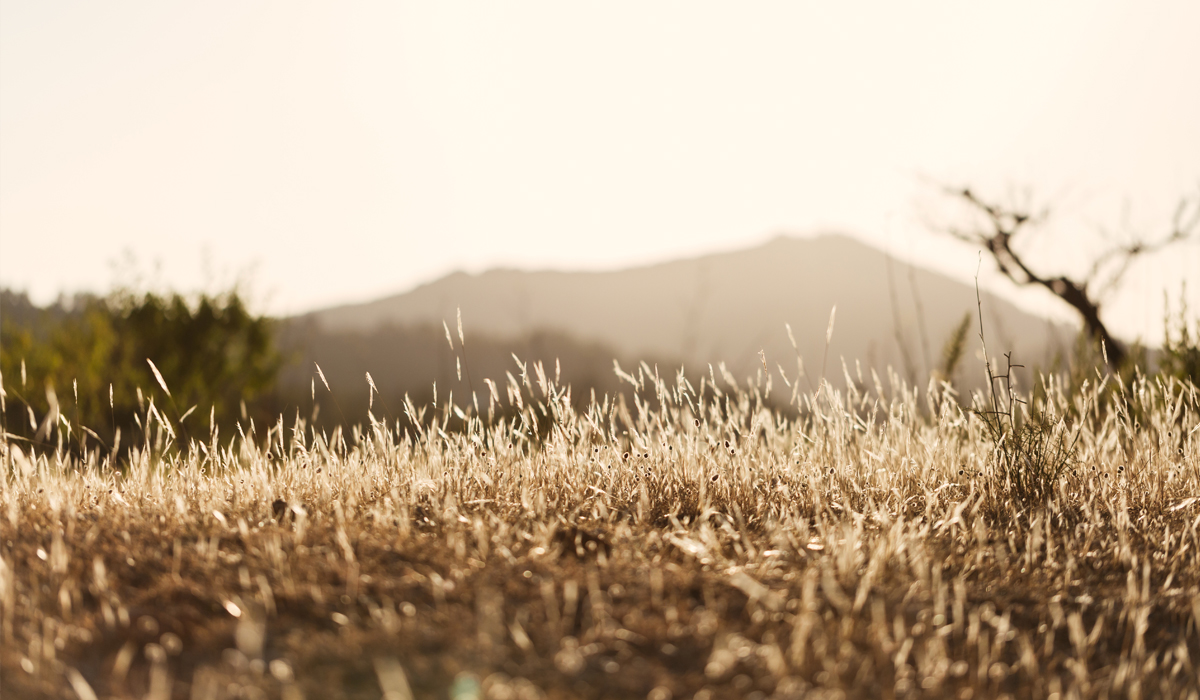 Slow living, un estilo de vida minimalista y consciente